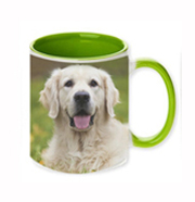 11 oz. two-tone green photo mug