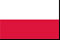 Polish passport and visa photo requirements in detail
