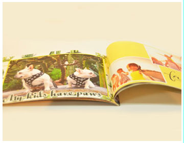 8x10 glossy paper photo books